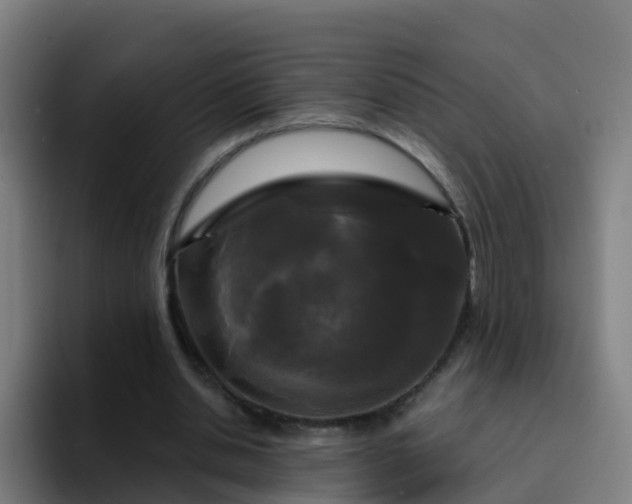 X0000094920438200712061112