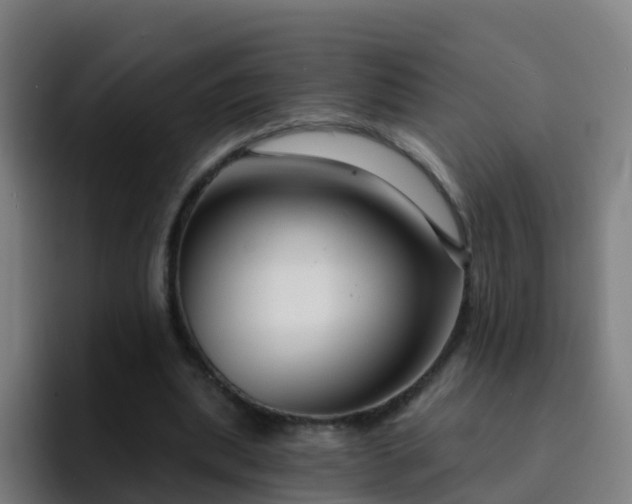 X0000094920439200712061112