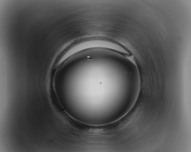 X0000094920440200712061112