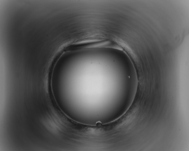 X0000094920442200712061112