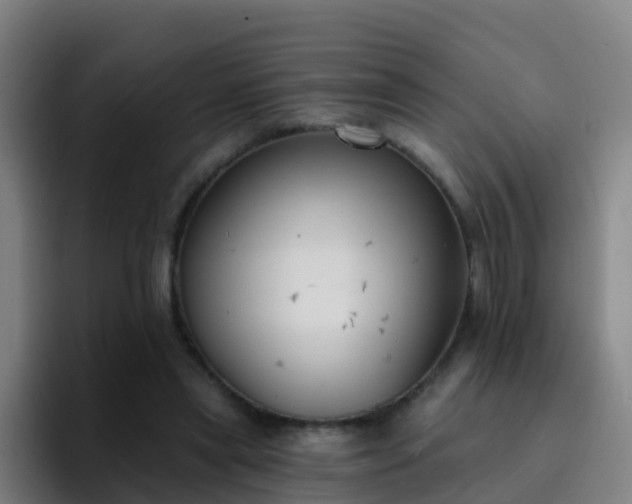 X0000094920445200712061112