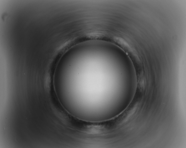 X0000094920448200712061112