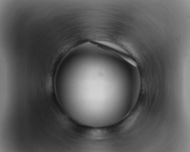 X0000094920453200712061112