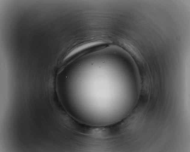 X0000094920461200712061112