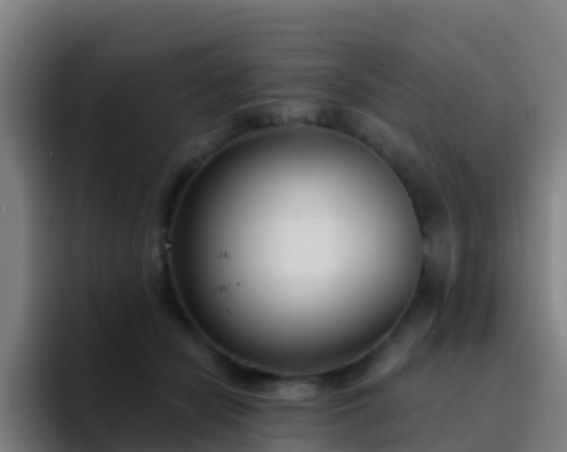 X0000094920462200712061112