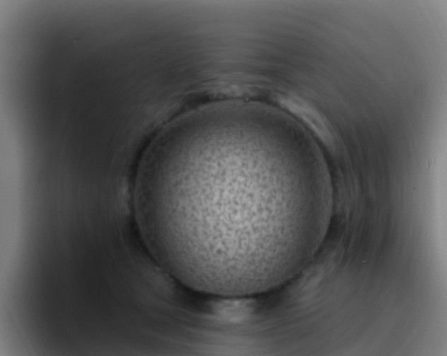 X0000094920465200712061112