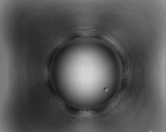 X0000094920469200712061112