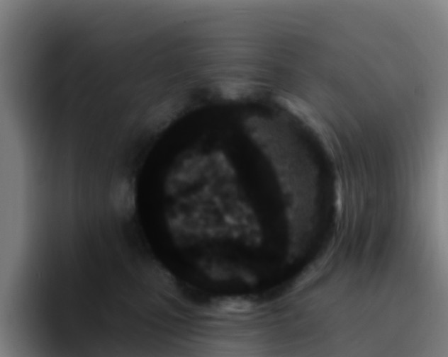 X0000094920471200712061112