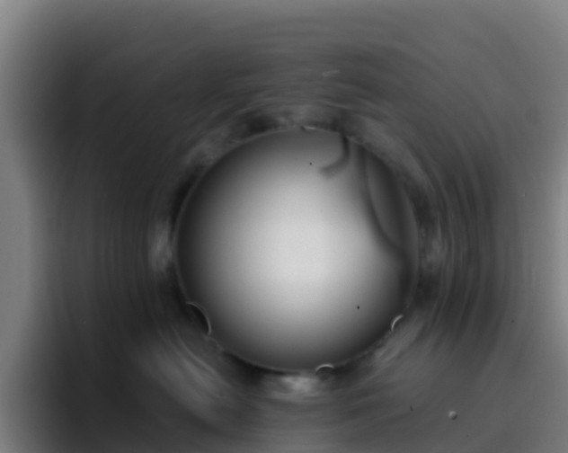 X0000094920478200712061112