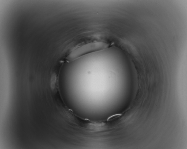 X0000094920480200712061112