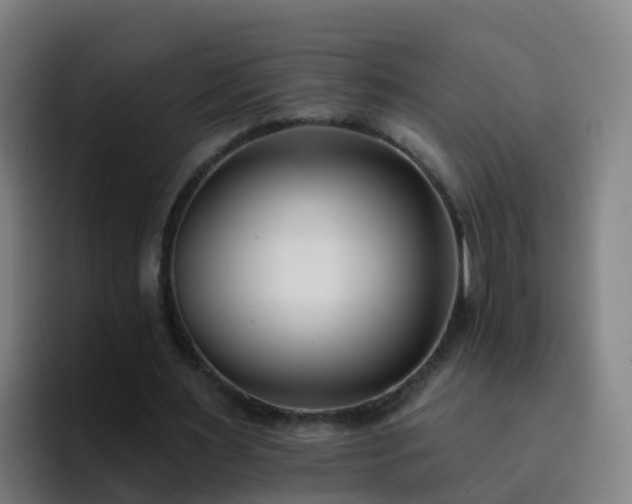 X0000094920483200712061112