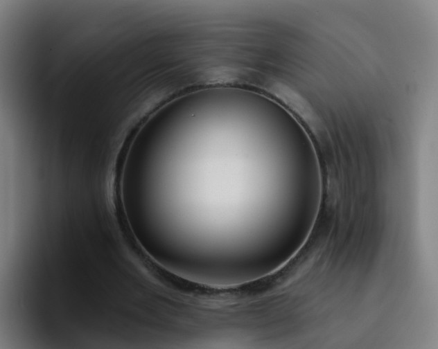 X0000094920485200712061112