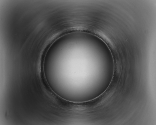 X0000094920486200712061112