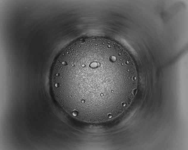 X0000094920487200712061112