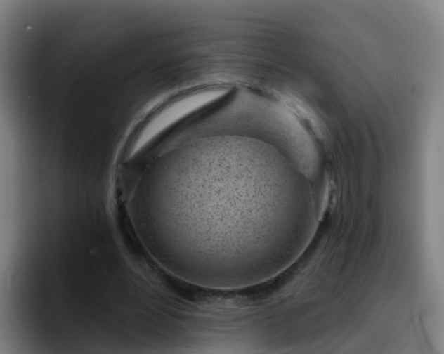 X0000094920488200712061112