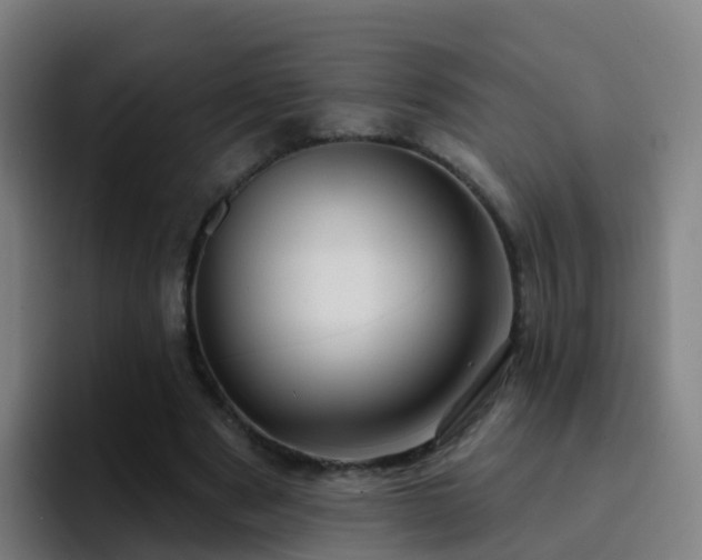 X0000094920489200712061112