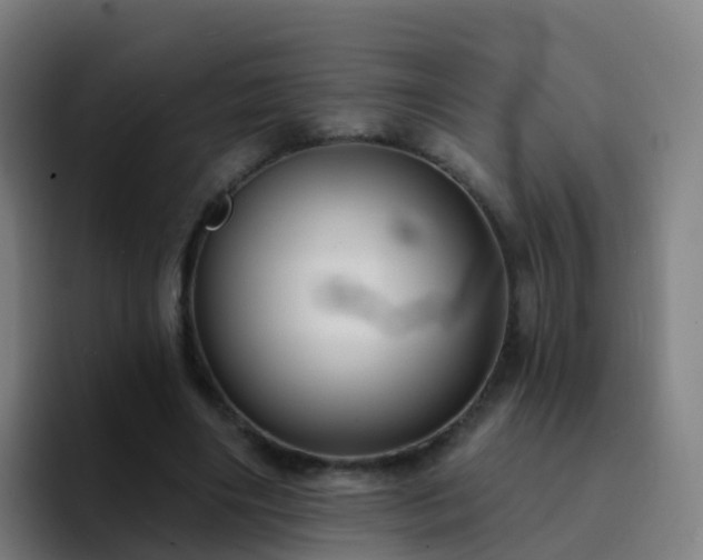 X0000094920490200712061112