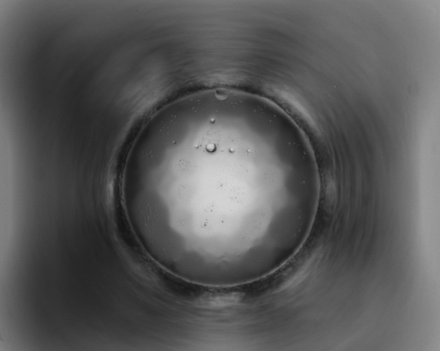 X0000094920491200712061112