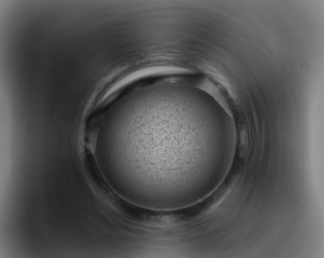 X0000094920492200712061112