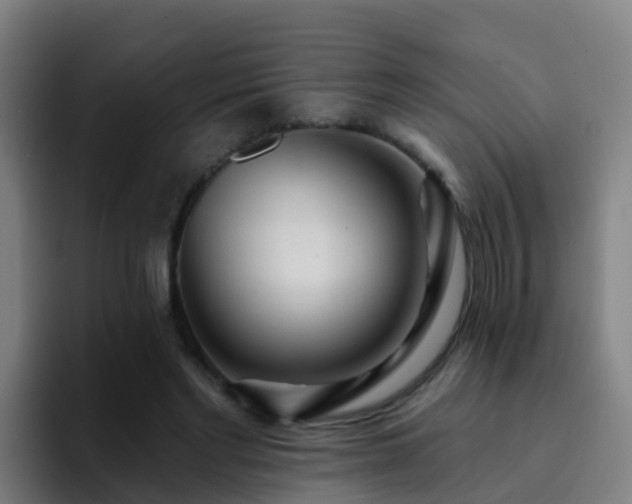 X0000094920493200712061112