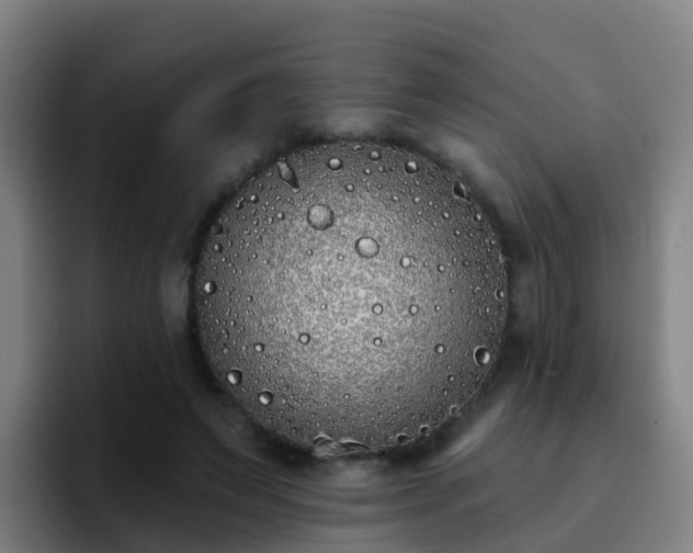 X0000094920495200712061112