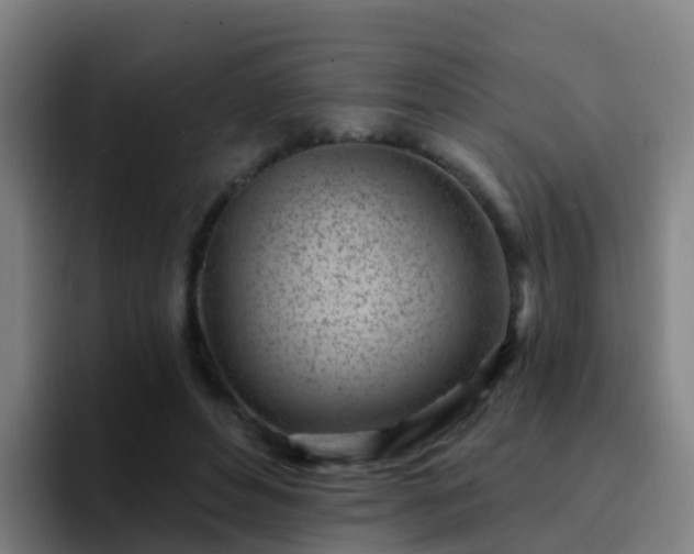 X0000094920496200712061112