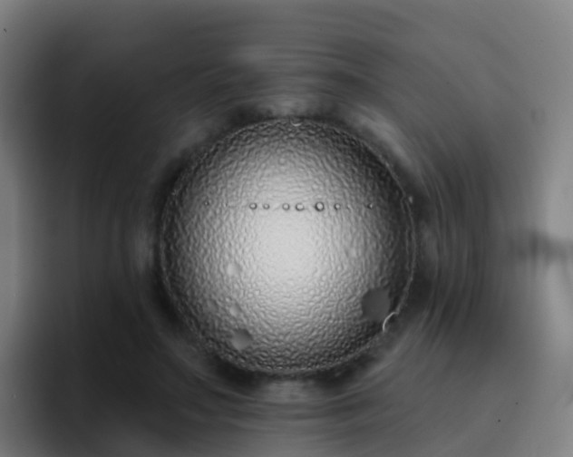 X0000094920499200712061112