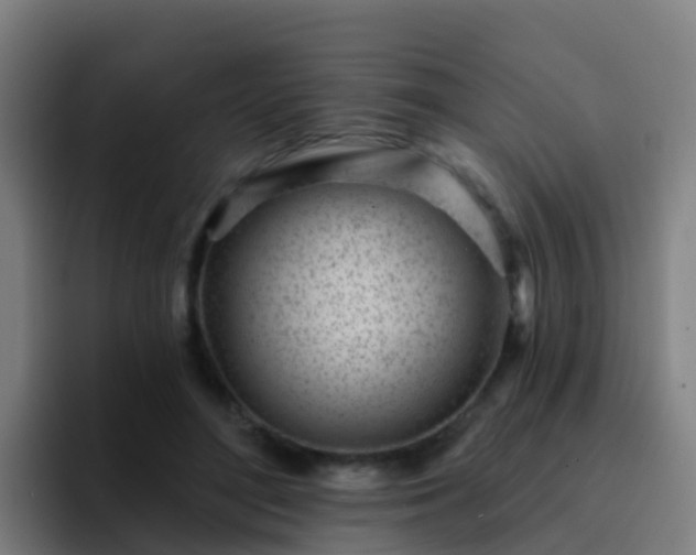 X0000094920500200712061112