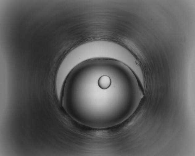 X0000094920501200712061112