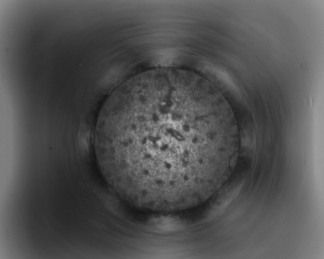 X0000094920503200712061112