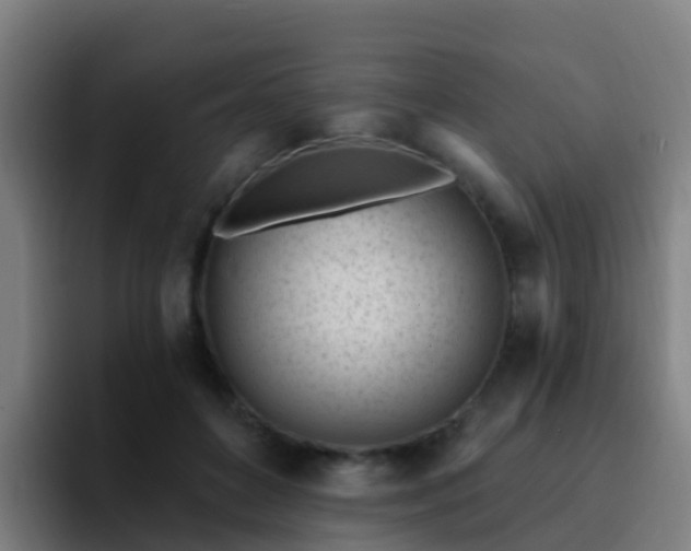 X0000094920504200712061112