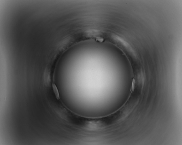 X0000094920508200712061112