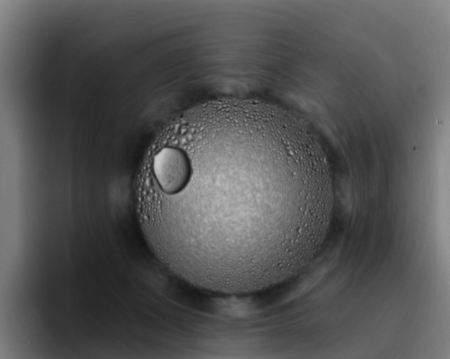 X0000094920511200712061111