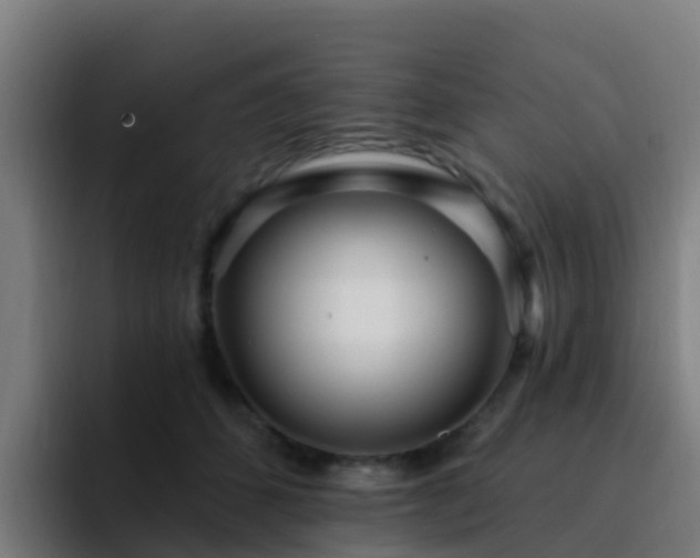 X0000094920512200712061111