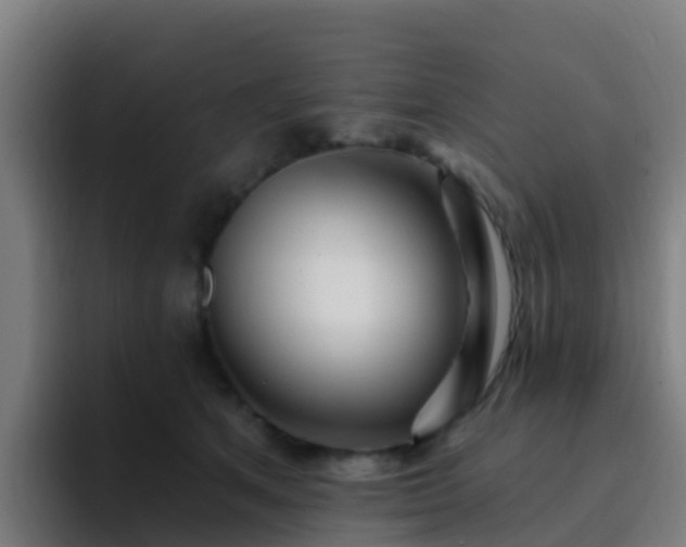 X0000094920513200712061111