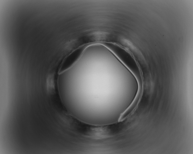 X0000094920516200712061111