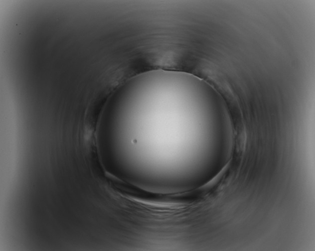 X0000094920521200712061111