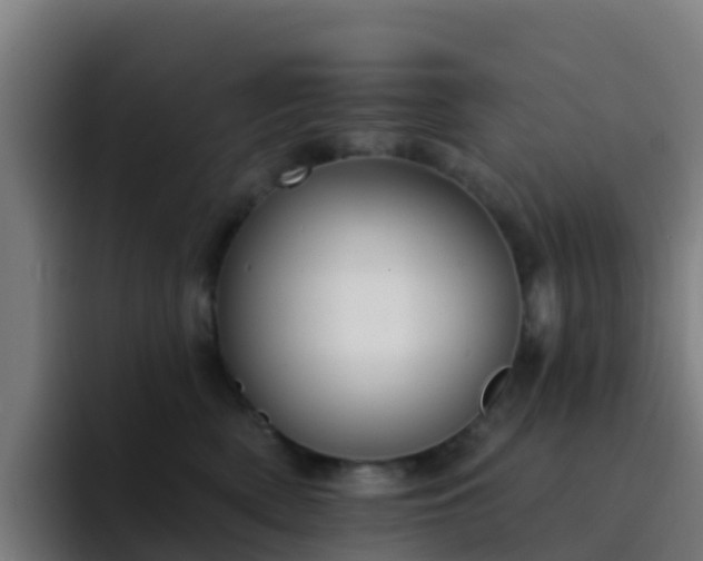 X0000094920522200712061111