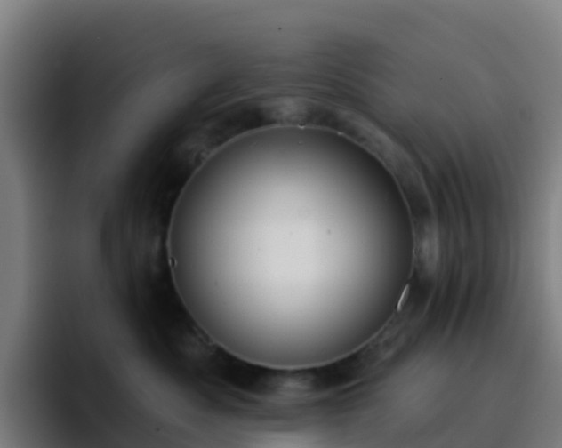 X0000094920525200712061111