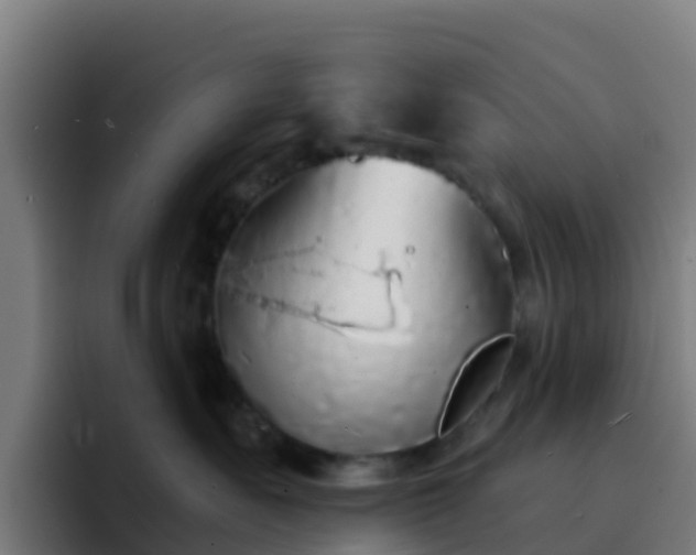 X0000094920527200712061111