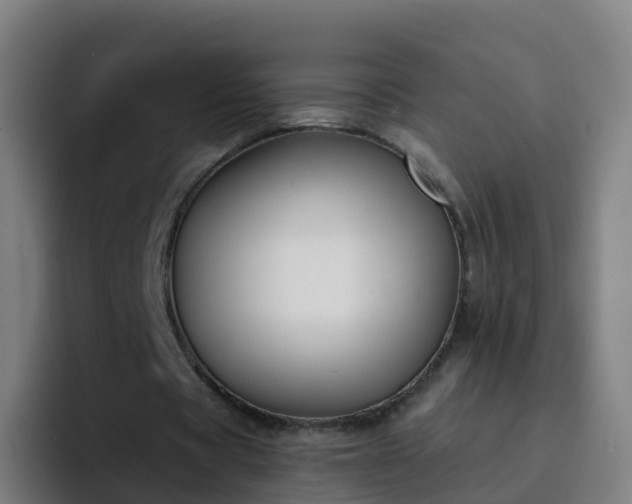 X0000094920529200712061111