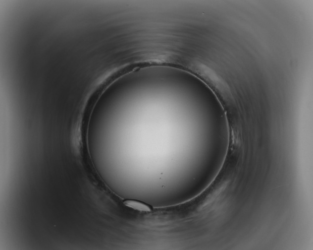 X0000094920532200712061111