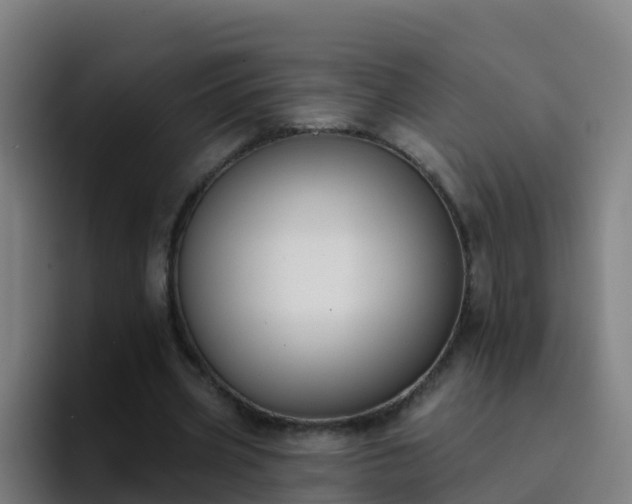 X0000094920533200712061111