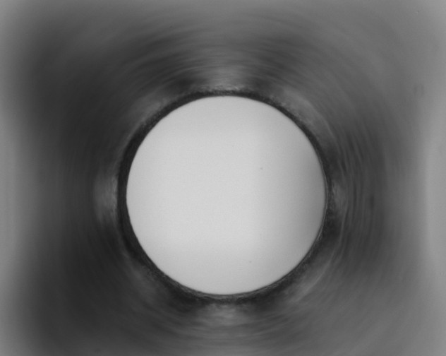 X0000094920534200712061111