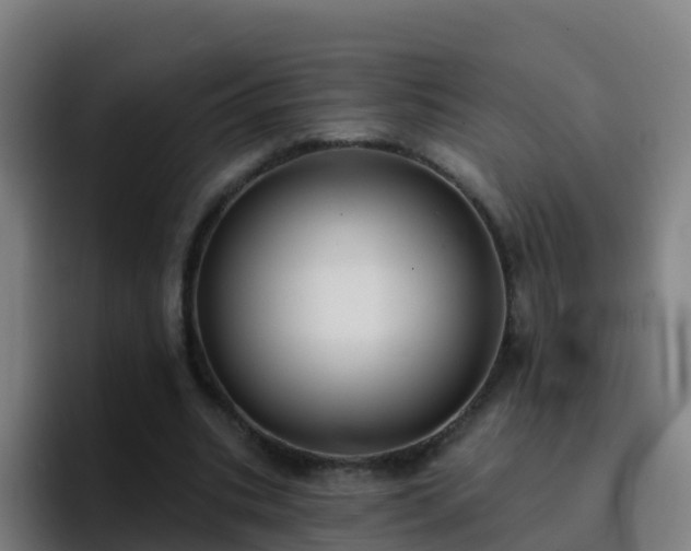 X0000094920535200712061111