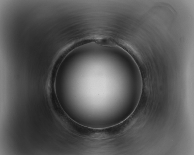 X0000094920536200712061111