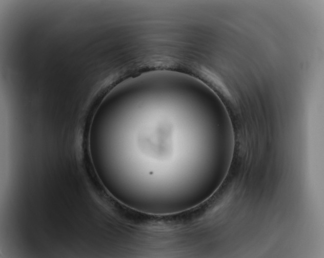 X0000094920538200712061111