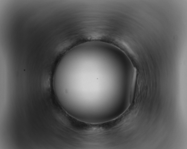 X0000094920543200712061111