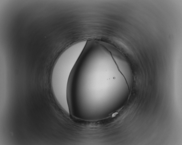 X0000094920546200712061111