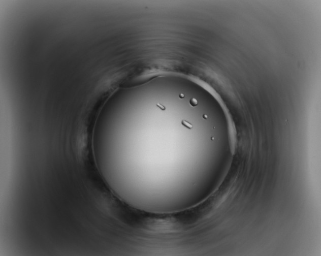 X0000094920548200712061111